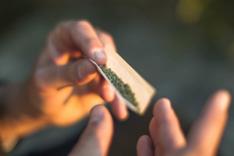 Cannabis Has Become “Harder” to Access for Young People Post-Legalization, Survey Says